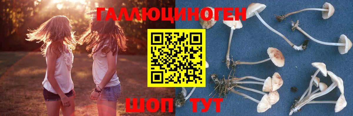 Псилоцибиновые грибы Psilocybe  Вход с VPN  Норильск 